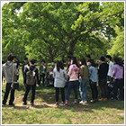 地域ボランティア活動に参加する留学生